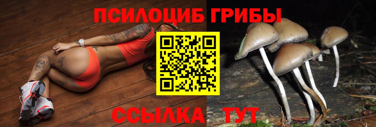 Псилоцибиновые грибы мицелий  Вход с VPN  Тара 